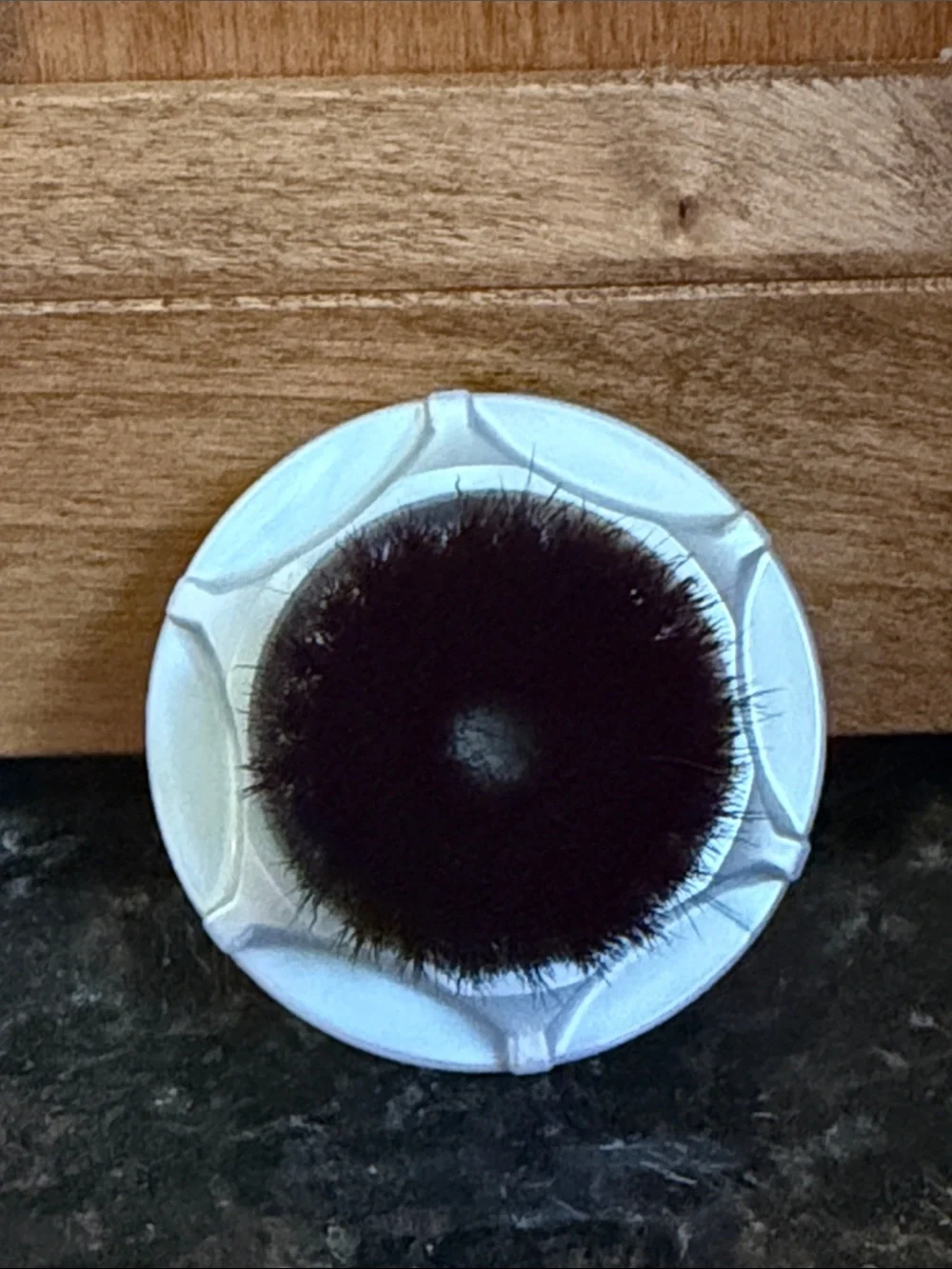 Clarisonic Sonic Foundation Brush